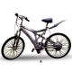 Electric Mountain Bicycle from China (mainland)