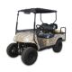 Electric Cart from China (mainland)