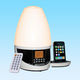 Alarm Clock Radio from China (mainland)