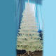 Christmas Tree from China (mainland)