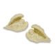 Angel Decors from China (mainland)