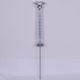 Solar Lawn Light from China (mainland)