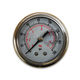 Manometer/Liquid Filled Gauge from China (mainland)