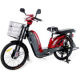 Large Loading E-bike from China (mainland)