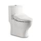 Intelligent Toilet from China (mainland)