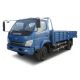 Light Truck from China (mainland)
