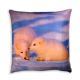 Pillow from China (mainland)