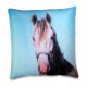 Pillow from China (mainland)