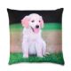 Pillow from China (mainland)