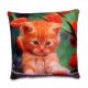 Pillow from China (mainland)