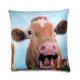 Pillow from China (mainland)