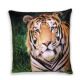 Pillow from China (mainland)
