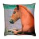 Pillow from China (mainland)