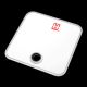 Hanging Scale from China (mainland)