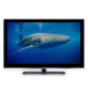 LED TV from China (mainland)