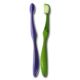 Toothbrushes from China (mainland)