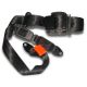 Three Point Furl Seat Belt from China (mainland)