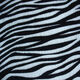 Zebra Coral Fleece from China (mainland)