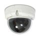 1/3" High-resolution Color 3-Axis OSD Dome Camera from Taiwan