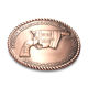 Belt Buckle from China (mainland)