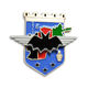 Badge from China (mainland)