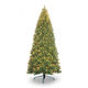 Christmas Tree from China (mainland)