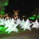 Party Decoration from China (mainland)