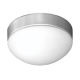 Ceiling Light from Hong Kong SAR