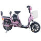 Electric Bicycle from China (mainland)