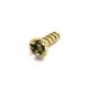 Screw from China (mainland)