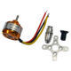 11.1V Outer Runner Brushless Motor from China (mainland)