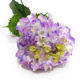 Artificial Flower from China (mainland)