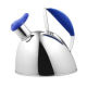 Stainless Steel Kettle from Taiwan
