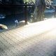 Vinyl Floor from China (mainland)