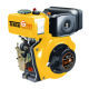 Diesel Engine from China (mainland)