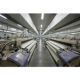 Cotton Voile from China (mainland)