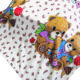 Baby Blanket from China (mainland)