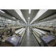 Cotton fabric from China (mainland)