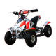 Mini ATV from China (mainland)