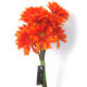 Artificial Flower from China (mainland)