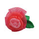 Baby Bath Sponge from Taiwan
