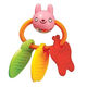 Pet Toy from China (mainland)