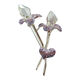 Crystal Brooch from China (mainland)
