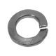 Spring Washer from China (mainland)