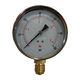 Pressure Gauge from China (mainland)