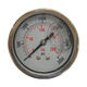 Pressure Gauge from China (mainland)