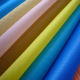 Polyester Fabric from China (mainland)