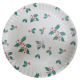 Disposable plate from China (mainland)