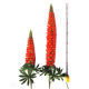 Single Lupinus Polyphyllus Lindl from China (mainland)