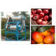 Mango/Fruit Juice Making Machine from China (mainland)